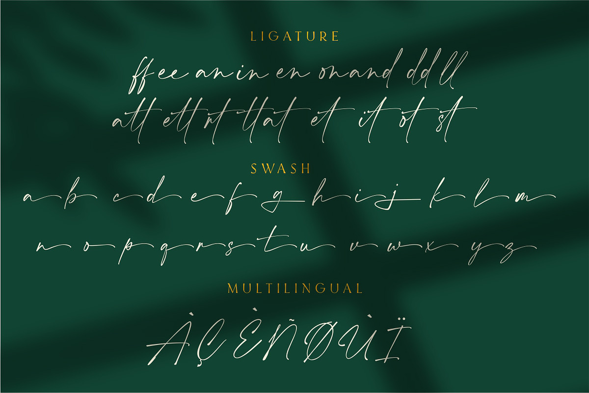 Aurellie Calestion Signature Font, a Script Font by typeline studio (Photo 10 of 10)