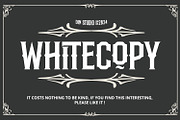 Whitecopy, a Symbol Font by Vintage Division (Thumbnail 15 of 15)
