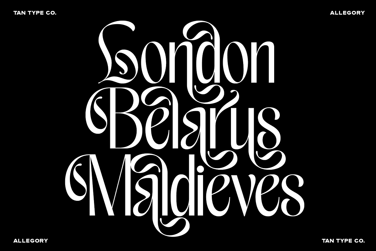 TAN - ALLEGORY, DUO FONT, a Serif Font by TanType (Photo 4 of 10)