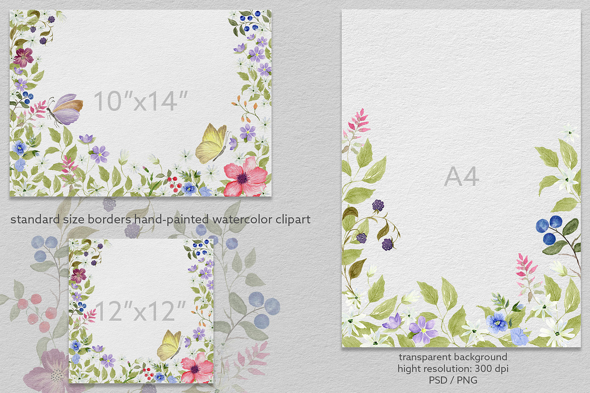 Wildflower & Butterfly Collection, a Decorative Illustration by Nadia Semyroz (Photo 11 of 12)