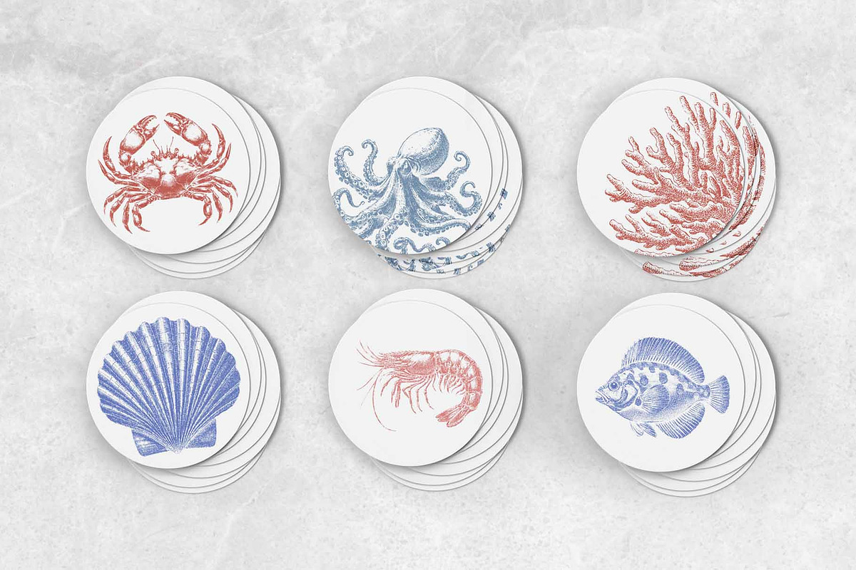 Undersea World - vector &png, an Animal Illustration by Anatartan Design (Photo 8 of 13)
