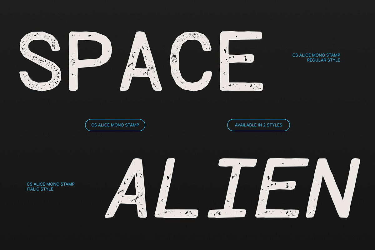 CS Alice Mono Stamp, a Sans Serif Font by Craft Supply Co. (Photo 3 of 8)