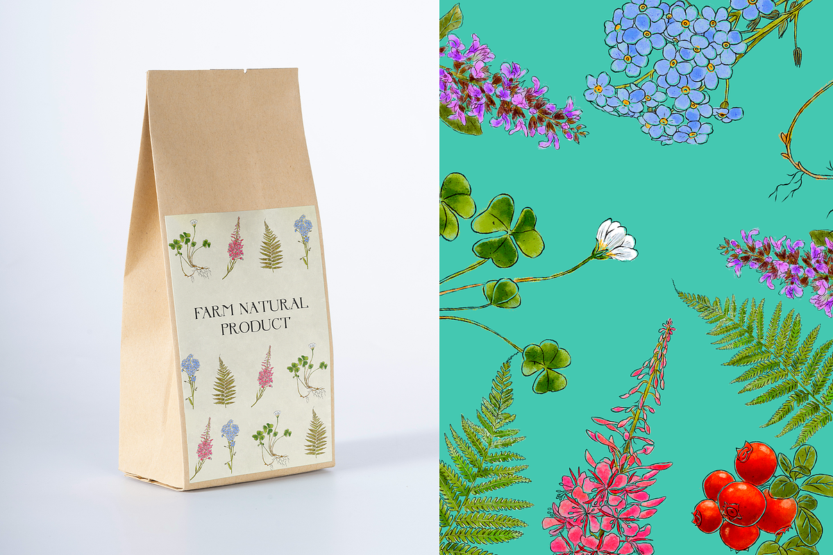Flowers Illustration Bundle, a Decorative Illustration by Schumacher Shop (Photo 5 of 18)