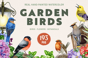 Garden Birds Watercolor Clipart