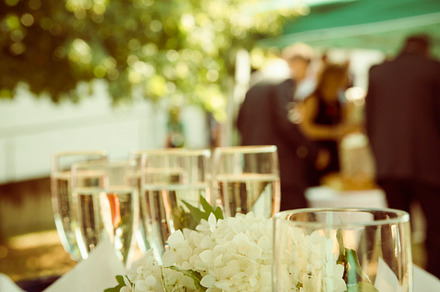 Summer garden party featuring summer, garden, and party preview 6