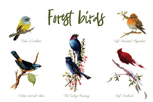 Watercolor Forest Birds