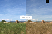 8 Pastel Lightroom Presets Bundle, an Action Add-On by SHOOM HOUSE (Thumbnail 6 of 7)