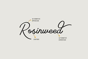 Rosinweed Font Bonus Leaves