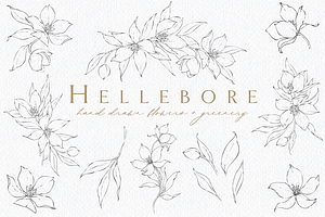 Illustrated Florals for Weddings