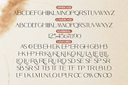 Monting Serif Script Modern Font Duo, a Script Font by Letter Fresh (Thumbnail 11 of 12)