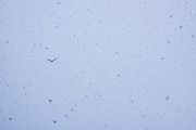 Snowfall textures and overlays, a Nature Photo by pictures for you (Thumbnail 8 of 15)