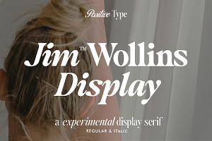 Jim Wollins Display