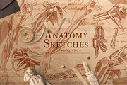 DA VINCI RENAISSANCE SKETCHES, an Object Illustration by Luna Dreams (Thumbnail 3 of 16)