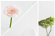 10 Pinterest Mood Board Templates V1, a Social Media Template by Creativetacos (Thumbnail 3 of 6)
