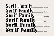 Venturico - Variable Font, a Serif Font by Typeskets (Thumbnail 6 of 11)