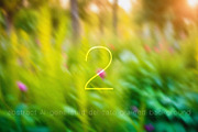 10 abstract nature backgrounds, a Background Photo by Anastasiia_K (Thumbnail 3 of 11)