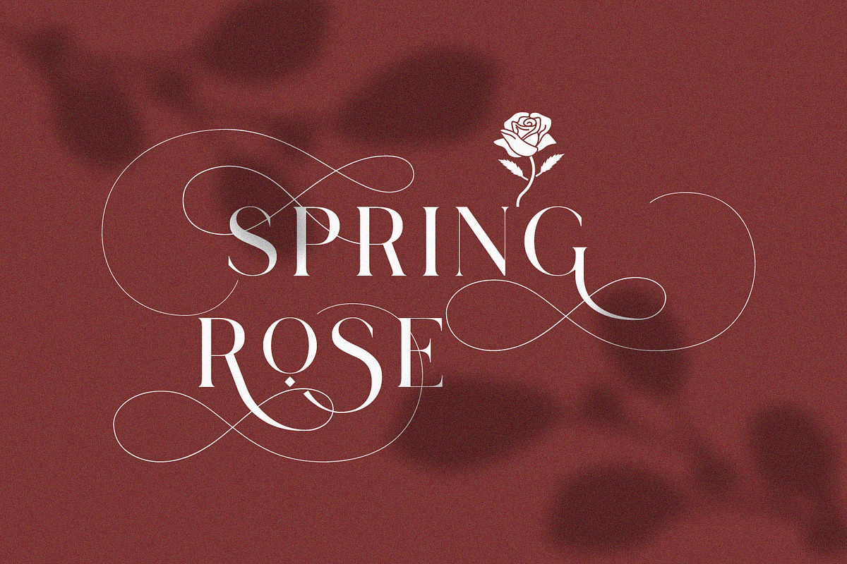 Lostgun Plus | Stylish Typeface, a Serif Font by Qaratype (Photo 5 of 20)