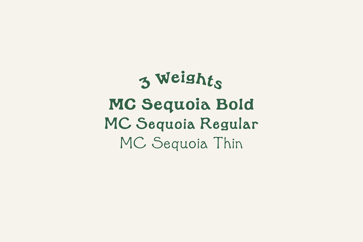 MC Sequoia - Font Family, a Font by McLetters (Photo 2 of 10)