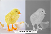 LAB Color V. 2 - Monochrome profiles, a Plug-in Add-On by Raztrend (Thumbnail 26 of 30)