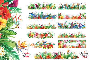 Tropical Flowers Arrangement Borders