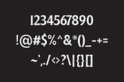 Ginfitanle, a Serif Font by studiobasic (Thumbnail 8 of 11)