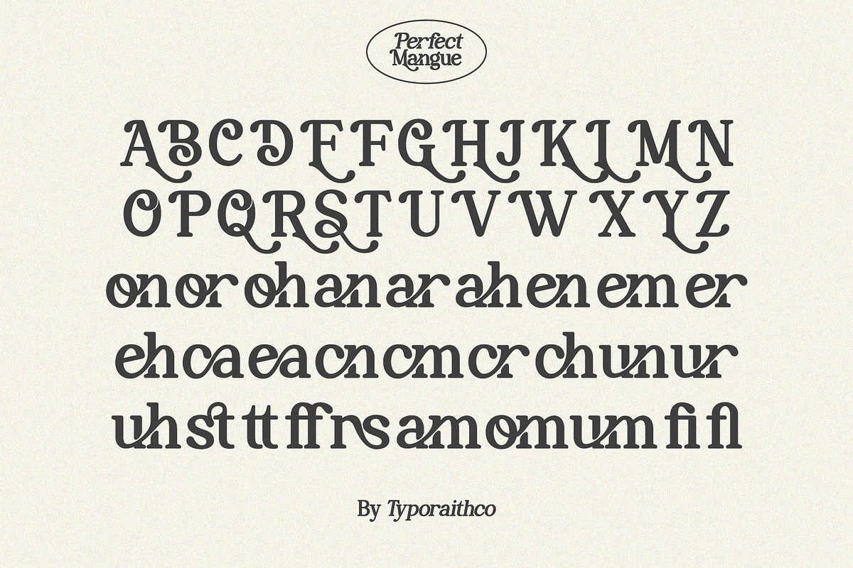 Perfect Mangue | Serif Duo Font, a Serif Font by Typoraith Co (Photo 10 of 10)