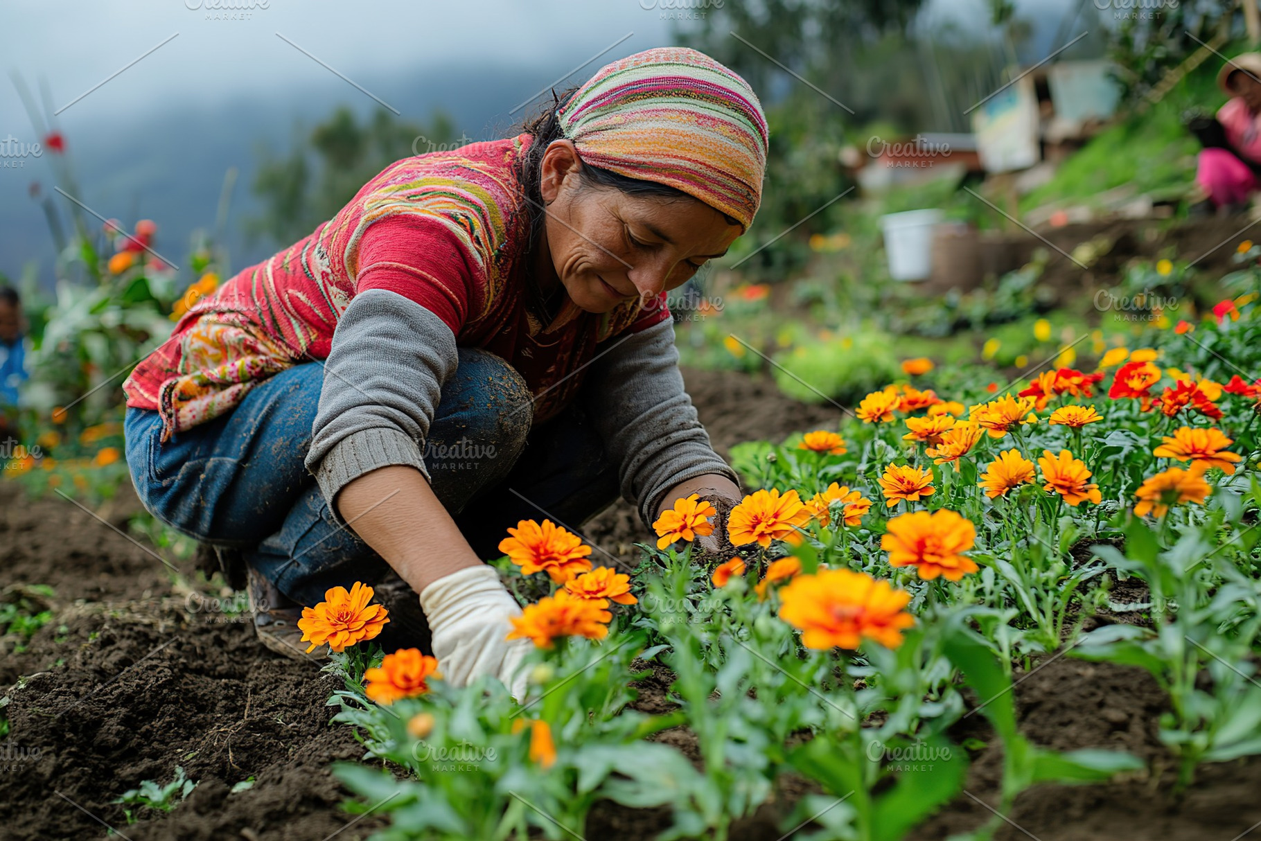 Gardener from poor country planting flowers in springtime, a Nature Photo by AlyaAnd