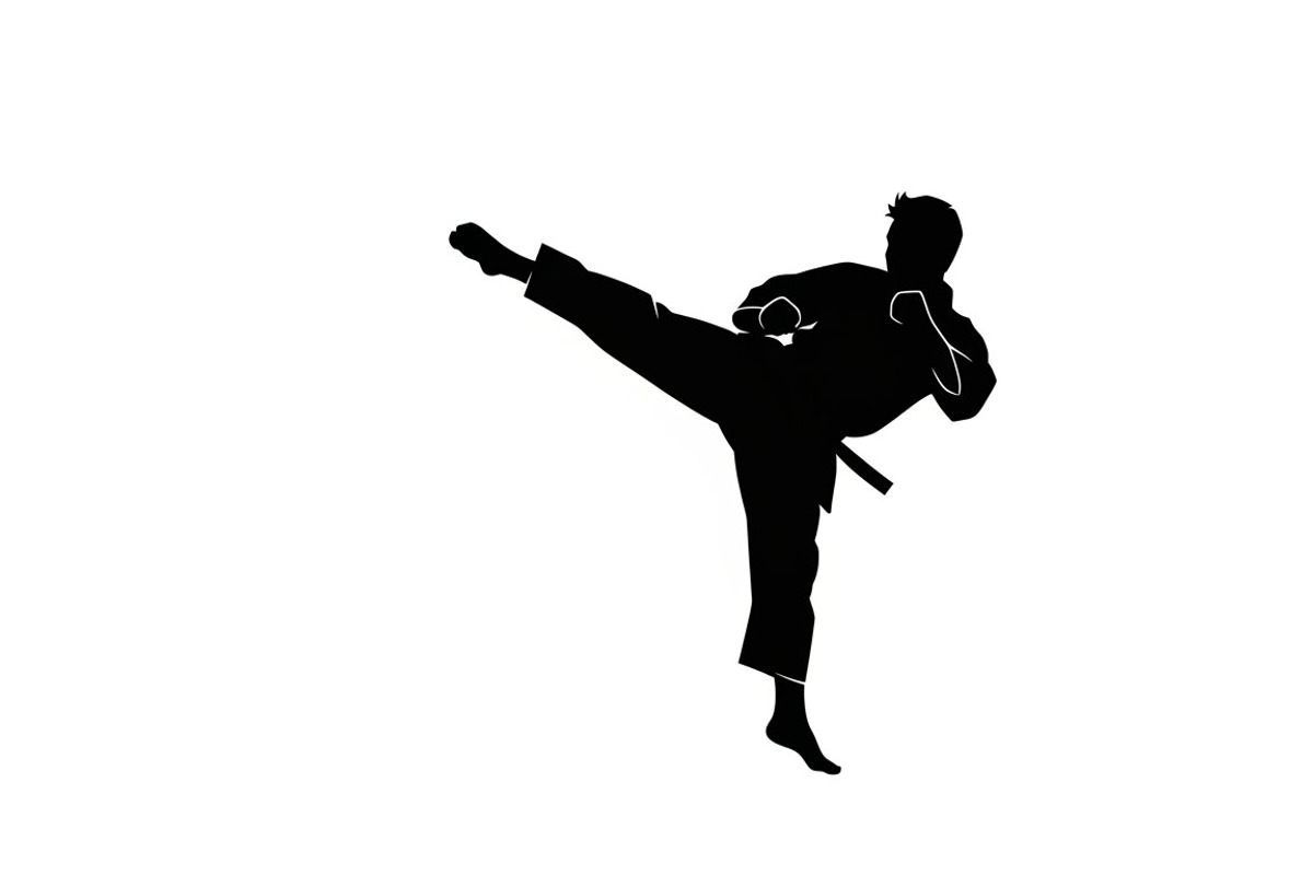 Dynamic martial arts kick silhouette, a Graphic by Amazin_art (Photo 6 of 36)
