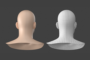 Natural Male Head 01 Generic Mesh