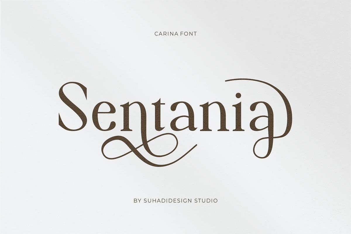 Carina classy elegant font, a Serif Font by suhadidesign (Photo 5 of 14)