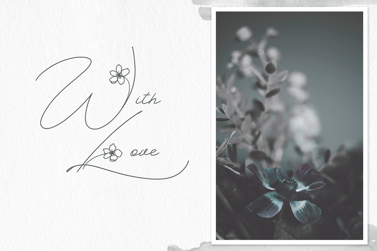 Spring Vibes. Floral Font + Frames, a Script Font by AnMark (Photo 15 of 15)