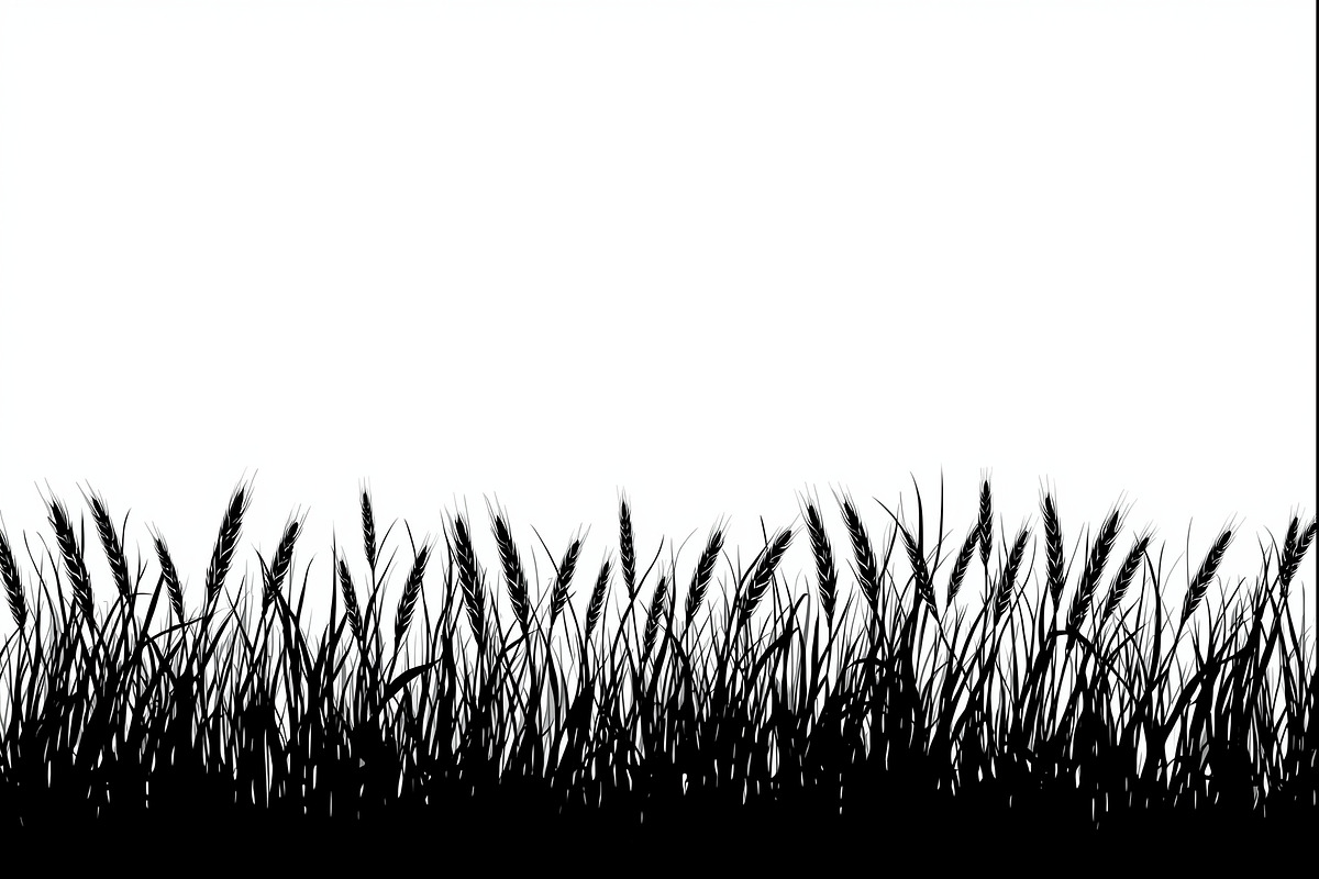Wheat Field Border Bundle, an Illustration by Designs_River (Photo 8 of 9)
