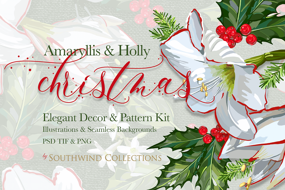 Christmas Floral & Holly Kit, a Decorative Illustration by Southwind Collections (Photo 1 of 7)