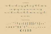 Starella - Script Font, a Font by Alpaprana (Thumbnail 8 of 9)