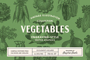 220 Vintage Vegetable Illustrations, a Food Illustration by Graphic Goods (Thumbnail 1 of 12)