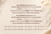Arvelis Serif Font Family, a Serif Font by artisans (Thumbnail 5 of 7)