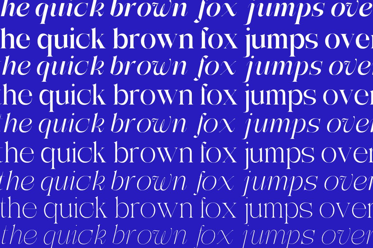 Getina Serif Super Family 243 Fonts, a Serif Font by IM Studio (Photo 8 of 12)