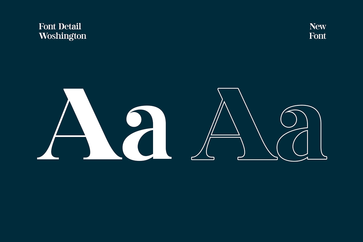 Washington Display Serif Font preview 3