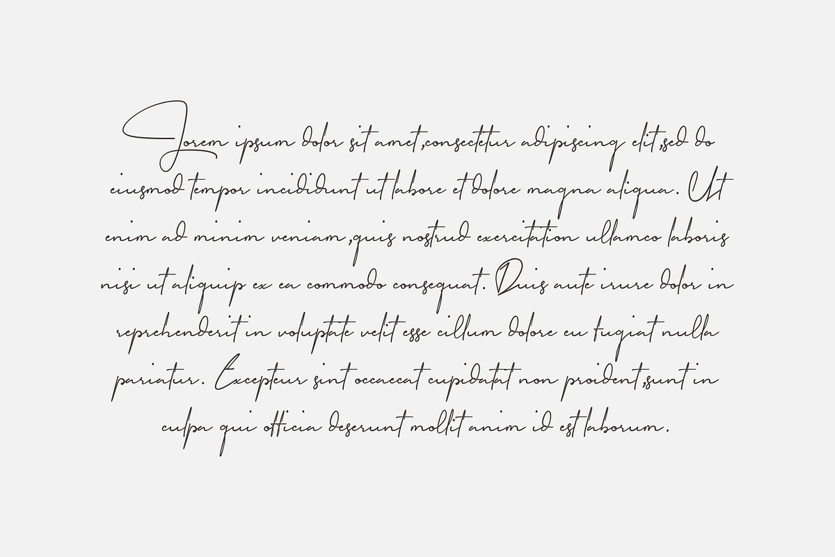 Garfield Signature Font, a Handwritten Font by Dewan Type (Photo 9 of 9)