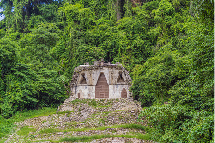 The ancient pyramids of Palenque in, an Architecture Photo by Elizaveta Galitskaya