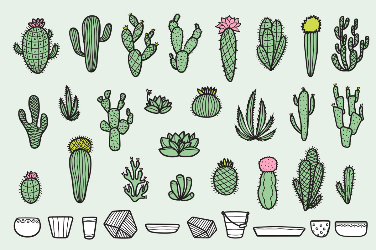 Cactus Collection, a Decorative Illustration by Chelovector (Photo 2 of 4)