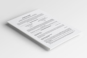 Kliner • Simple professional resume, a Resume Template by Dragoș Neagu (Thumbnail 3 of 5)