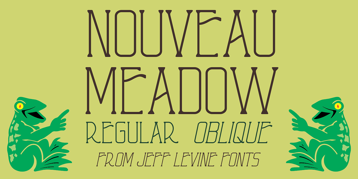 Nouveau Meadow JNL, a Serif Font by Jeff Levine Fonts (Photo 1 of 5)