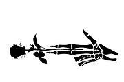 Skeleton Fingers Set, Cut Files, a Person Illustration by Watercolor_Vector Graphic (Thumbnail 15 of 16)