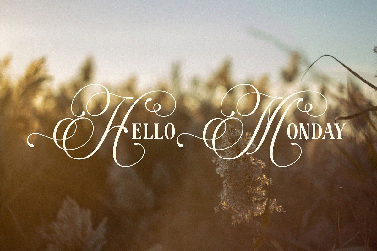 Westerlife - Elegance Serif, a Serif Font by epicatype (Photo 8 of 10)