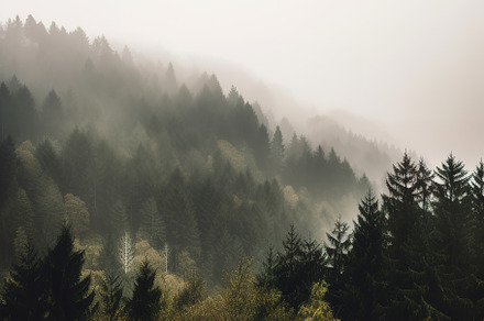Misty mountain landscape stock photo, a Nature Photo by Virgo Studio
