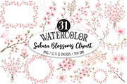 Watercolor Sakura Blossoms Clipart, an Illustration by Designking (Thumbnail 1 of 5)