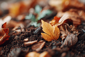 Autumn leaves in vibrant orange and brown, a Nature Photo by AlyaAnd