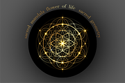 Sacred Geometry gold Flower of life, an Object Graphic by GraphicRedStudio (Thumbnail 2 of 2)
