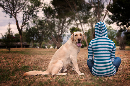 I love my dog stock photo containing girl and dog